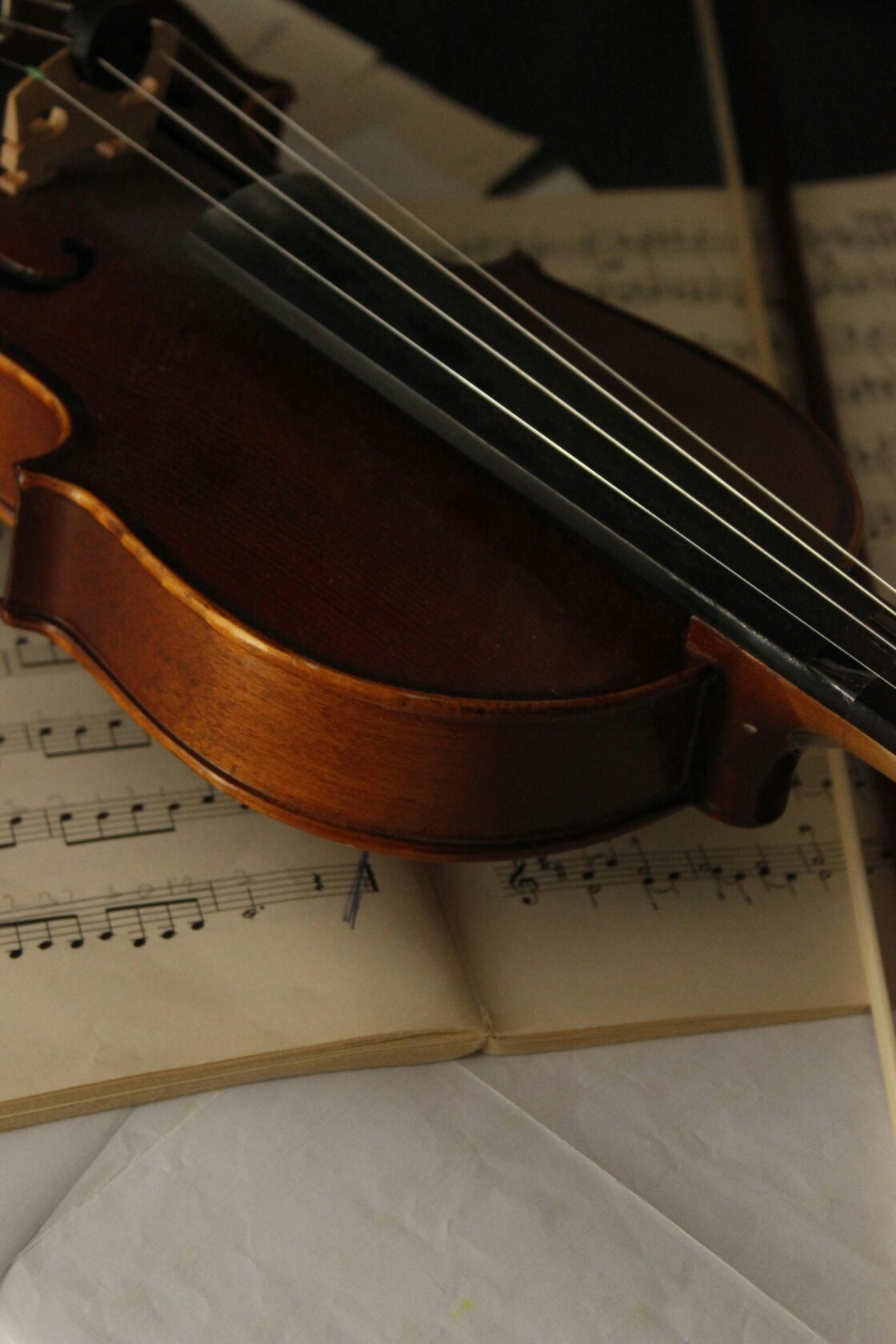 Keman Hobi Programı